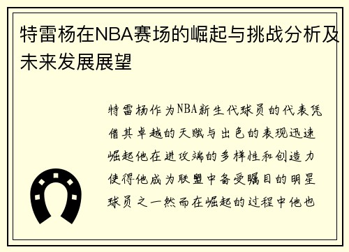 特雷杨在NBA赛场的崛起与挑战分析及未来发展展望