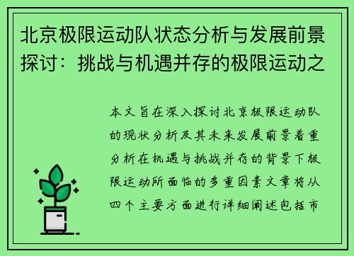 北京极限运动队状态分析与发展前景探讨：挑战与机遇并存的极限运动之路