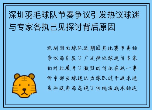 深圳羽毛球队节奏争议引发热议球迷与专家各执己见探讨背后原因