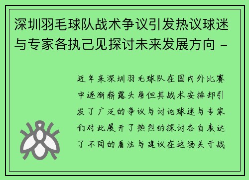 深圳羽毛球队战术争议引发热议球迷与专家各执己见探讨未来发展方向 - 副本