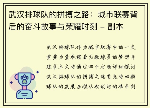 武汉排球队的拼搏之路：城市联赛背后的奋斗故事与荣耀时刻 - 副本